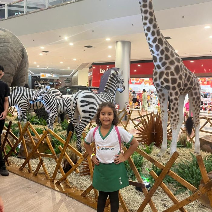 WhatsApp Image 2024-09-12 at 17.26.54